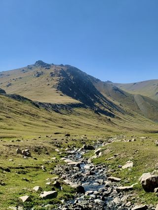 Nayrn - Hiking in GRASSY mountains 🏔️🥺