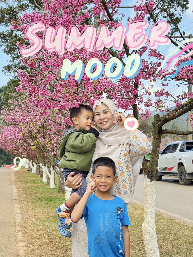 ดอยอ่างขาง จังหวัดเชียงใหม่