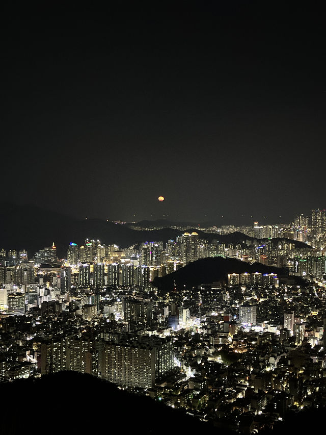 주차장에서 10분! 부산 전경을 내려다보는 무료전망대👍🏻