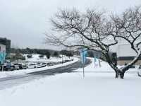 ❄️☃️🧤 제주 겨울의 기억 속 한 장면