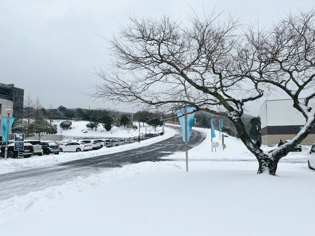 ❄️☃️🧤 제주 겨울의 기억 속 한 장면