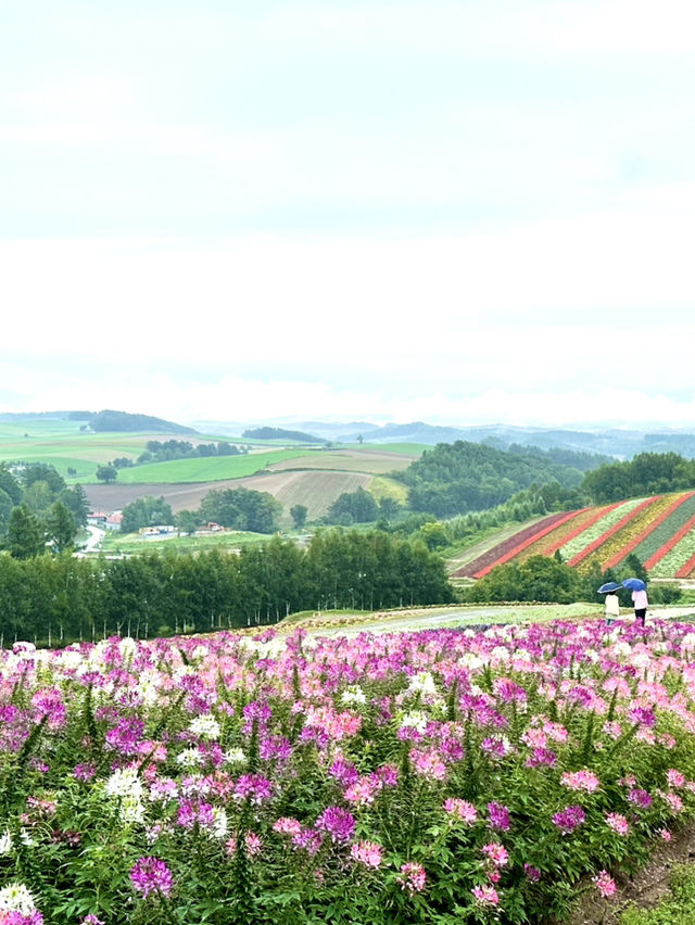 【北海道×3泊4日の旅】