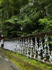 【箱根】九頭龍神社でパワーチャージ