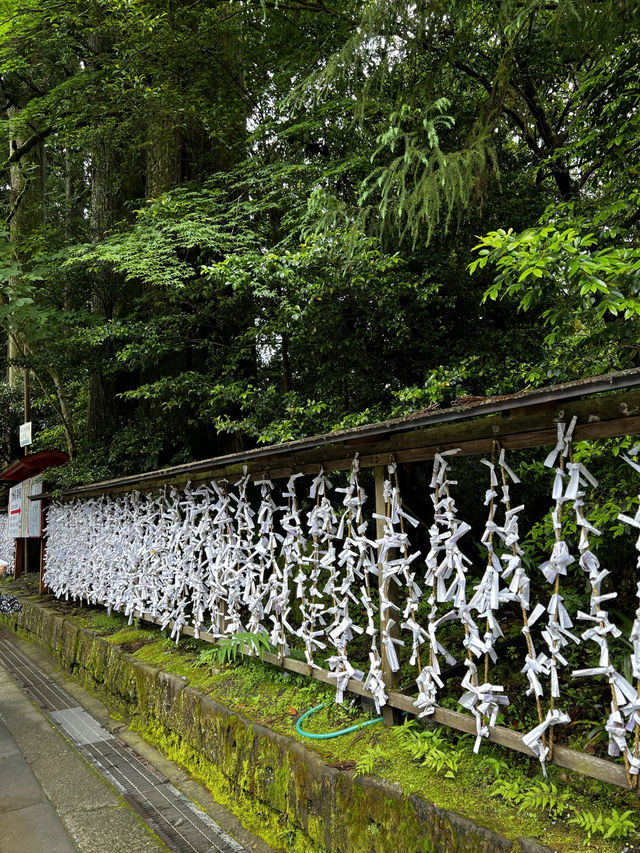【箱根】九頭龍神社でパワーチャージ