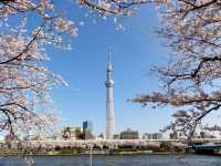 東京晴空塔之旅