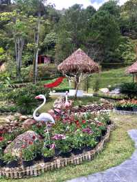 Evergreen Elegance: @Betong WF Garden