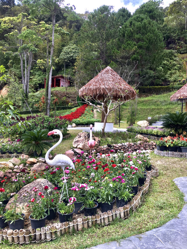 Evergreen Elegance: @Betong WF Garden