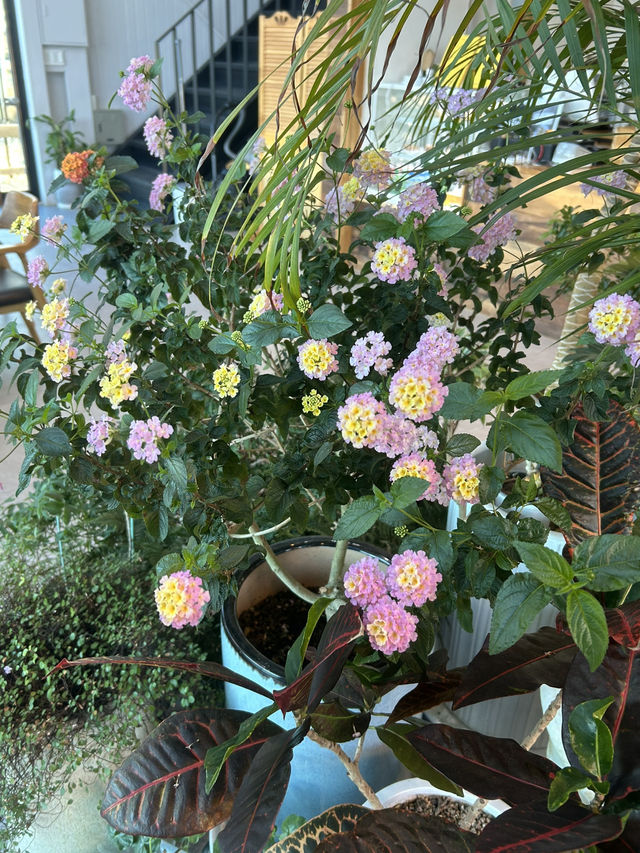 서산 싱그러운 자연이 가득한 카페 호리 🌿🌱☘️