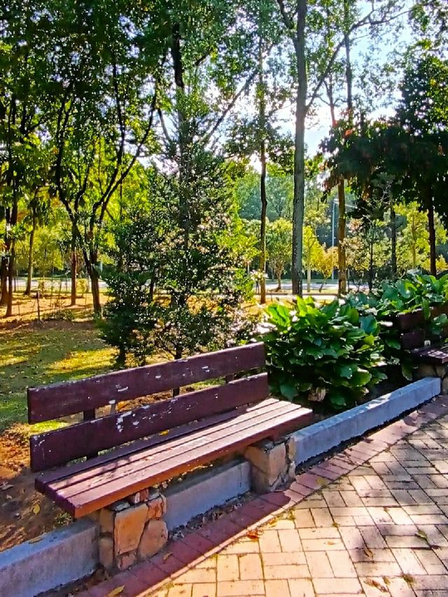 CYBERJAYA MINI PARK.