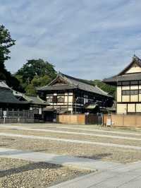 Naritasan Day Trip: Unveiling a Hidden Gem Near Tokyo