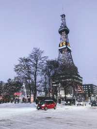 2 Days in Sapporo: A Winter Wonderland Adventure