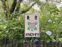 【茨城県】梅雨の時期に巡る水戸旅
