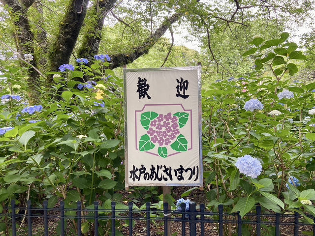【茨城県】梅雨の時期に巡る水戸旅