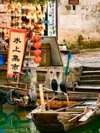 Uncover the Timeless Beauty of Tongli