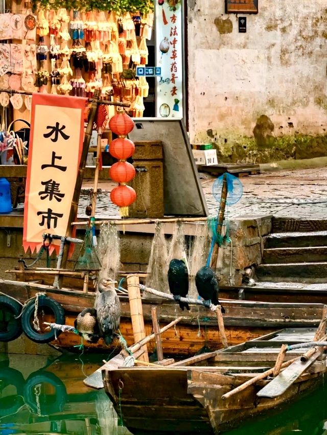 Uncover the Timeless Beauty of Tongli