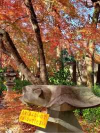 紅葉が美しいおすすめスポット