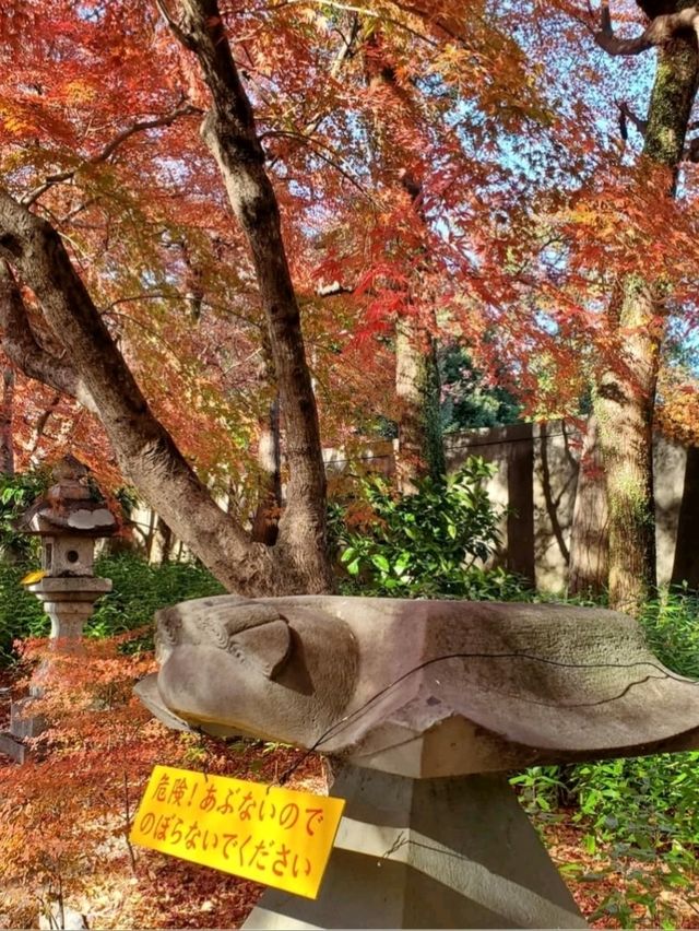 紅葉が美しいおすすめスポット