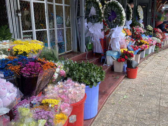 Romantic 5D4N trip in Dalat Vietnam 