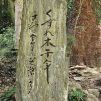 Dazaifu Tenmangu Shrine