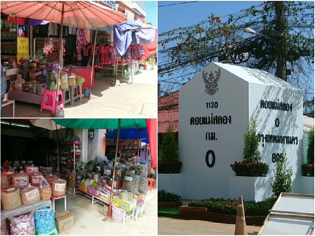 เช็คอิน@ดอยแม่สลอง