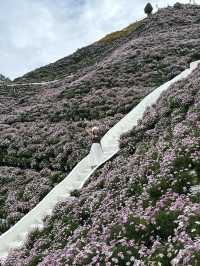 Best OOTD Spot at Cameron Highlands