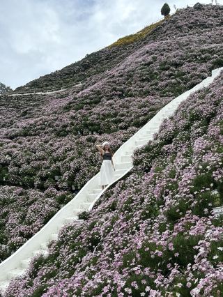 카메론 하이랜드에서 최고의 OOTD 장소