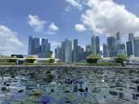 What an amazing experience Singapore has to offer!