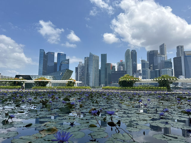 What an amazing experience Singapore has to offer!