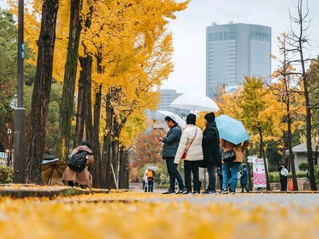 Osaka castle