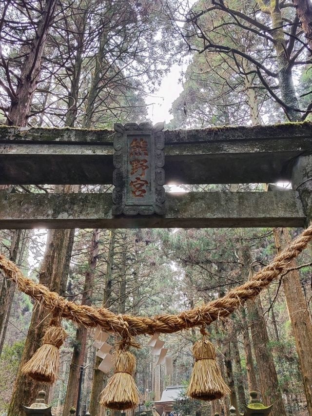 幽靜樹林裡簡樸的上色見熊野座神社