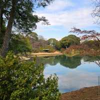 Rikugien Garden (六義園)