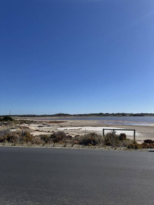 Rottnest Island Cycling Guide