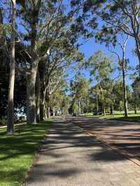 Kings Park Adventure: Nature, Views & Culture
