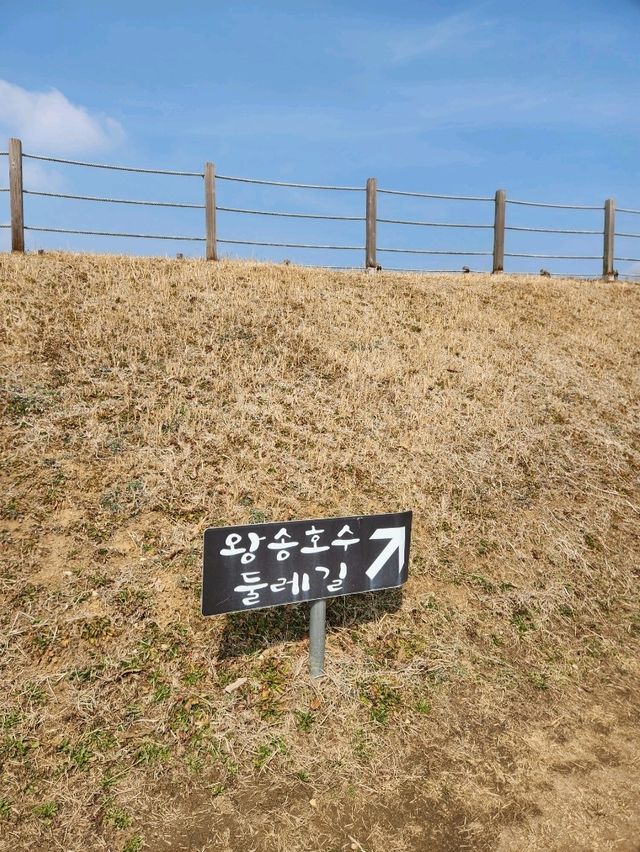 ❣️경기도 산책 데이트 하기좋은, "의왕왕송호수"❣️