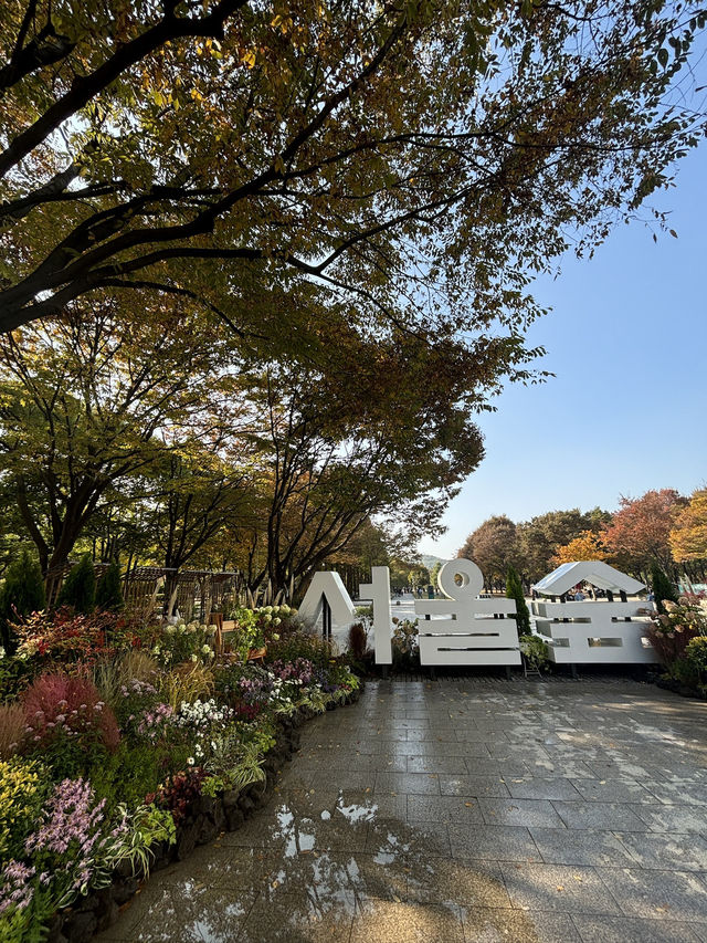 🇰🇷ダンス合宿と時々観光