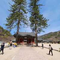 Songnisan National Park