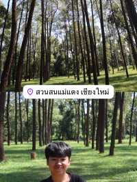 มัดรวมที่เที่ยวเชียงดาว-แม่แตง