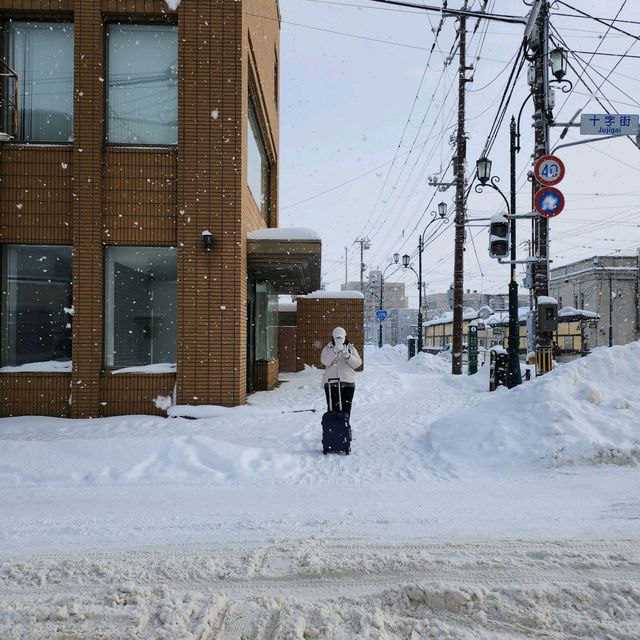 🇯🇵일본 홋카이도 설경을 즐기는 기차여행🚅JR홋카이도 레일패스❄️