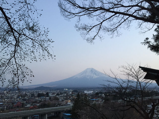Chureito Pagoda จุดชมซากุระสุดปัง พร้อมวิวฟูจิ
