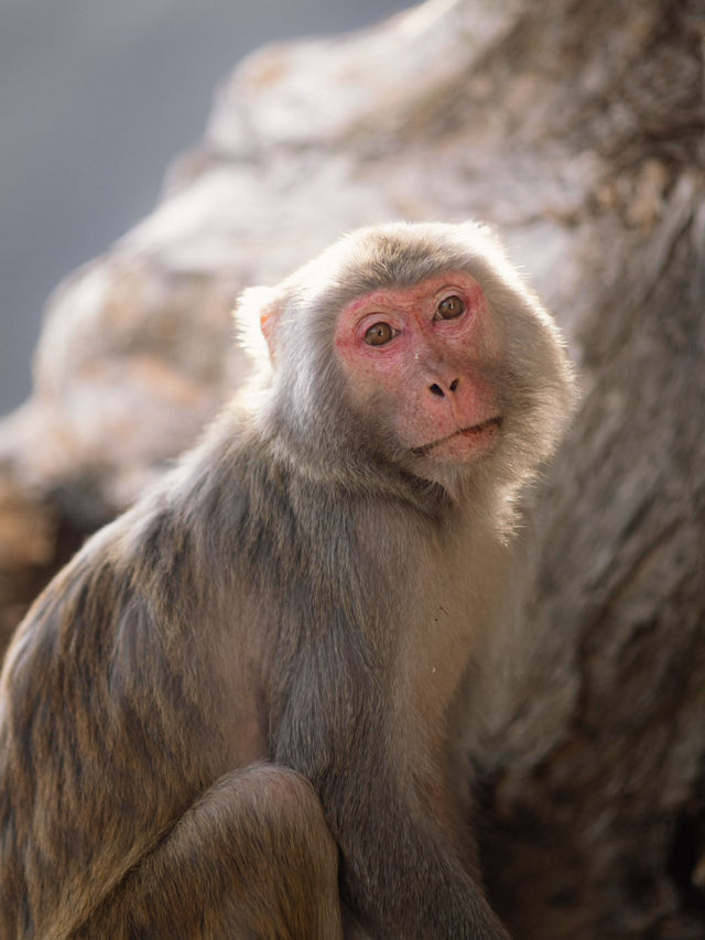係城門水塘 同🐒度過嘅一日