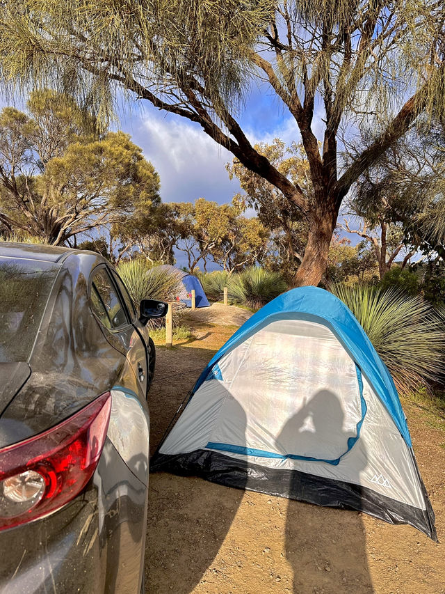 South Australia Road Trip: Sydney to SA🚗🏝️   
