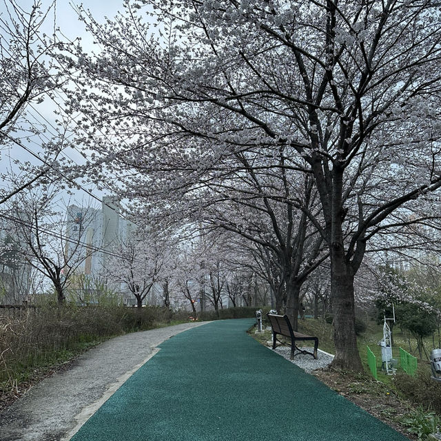 【光州】🇰🇷 ヤンサン湖水公園