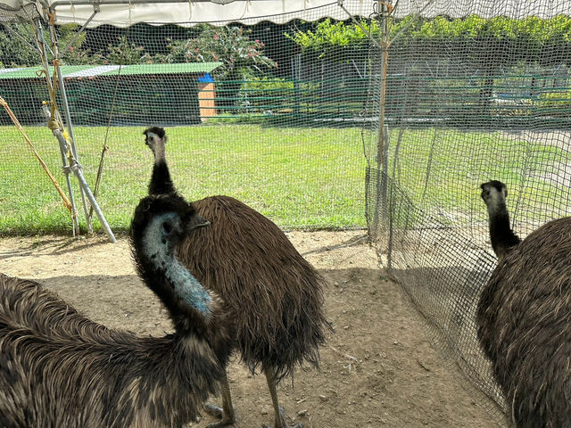【掛川花鳥園】