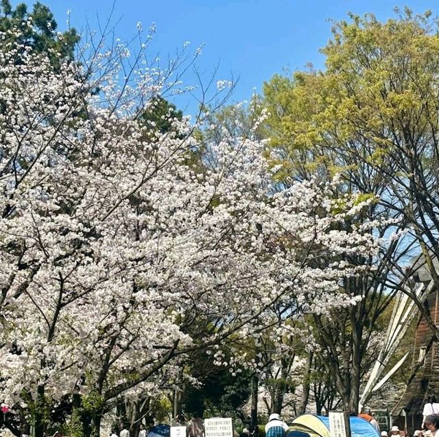 Meijo Park (名城公園)