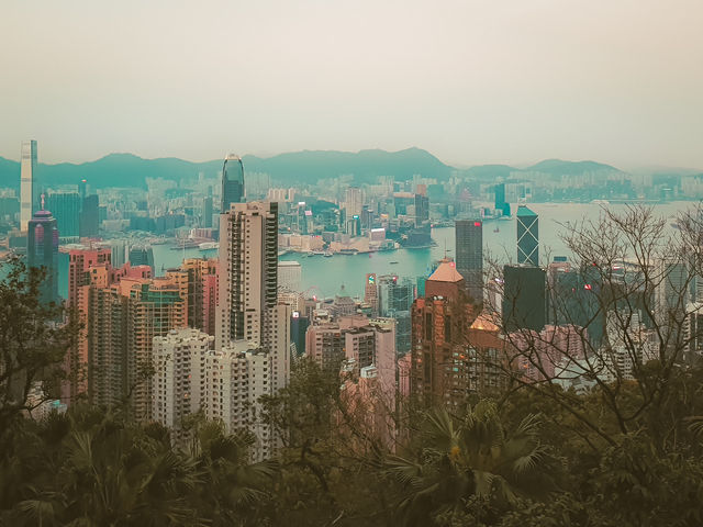 The Best View in Hong Kong: A Trip to Victoria Peak