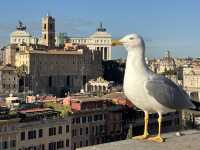 Step Back in Time: Exploring the Roman Forum