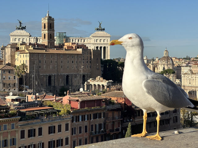 Step Back in Time: Exploring the Roman Forum