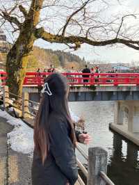 เที่ยวกิฟุ 🇯🇵 ชิราคาวาโก ~  เมืองทาคายาม่า 