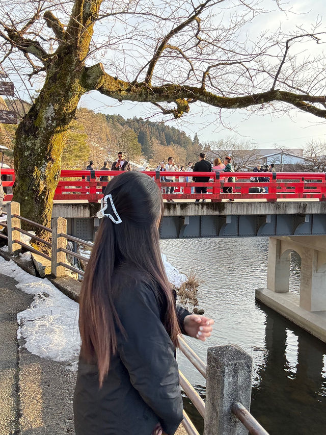 เที่ยวกิฟุ 🇯🇵 ชิราคาวาโก ~  เมืองทาคายาม่า 