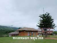 แพลนเที่ยวปาย(ฤดูฝน)แม่ฮ่องสอน🌳2 วัน 1 คืน
